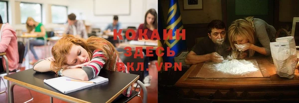 apvp Алзамай