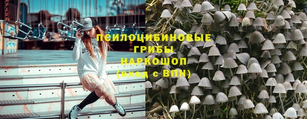 apvp Алзамай