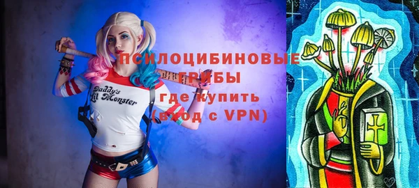 apvp Алзамай