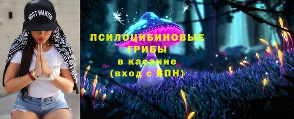 прущие грибы Алексин