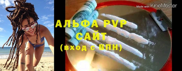 гашик Осташков