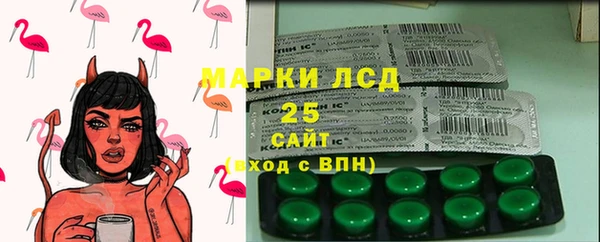 прущие грибы Алексин